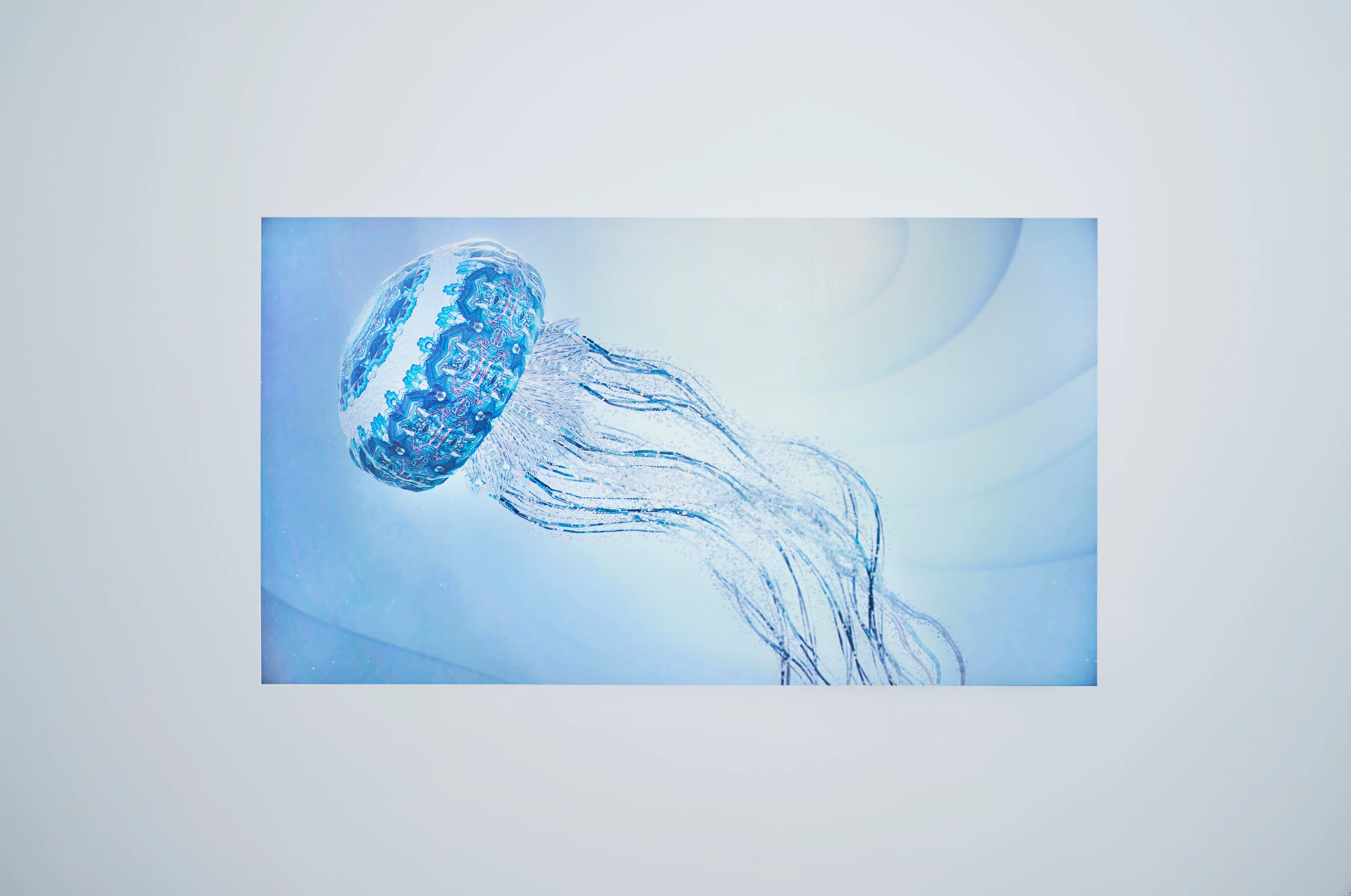 Kaleido Jellyfish -2023- Limited Edition