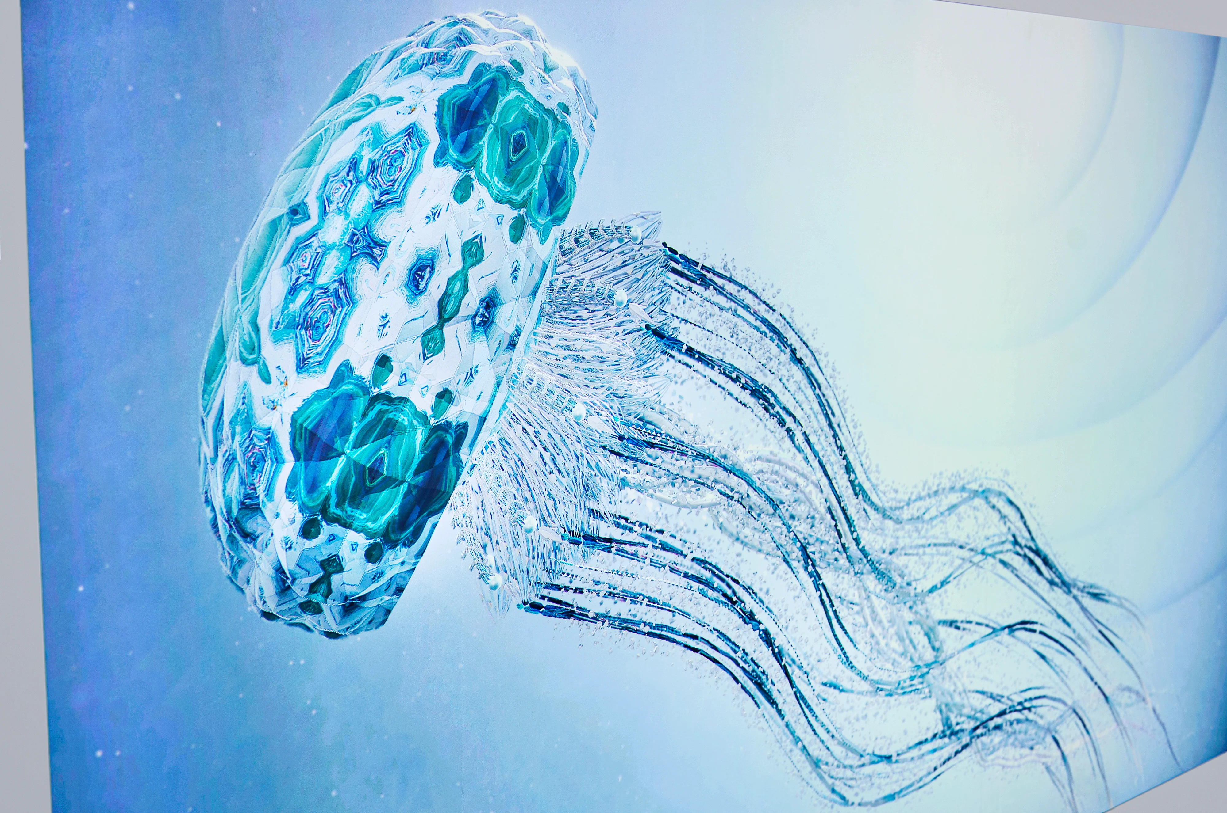 Kaleido Jellyfish -2023- Limited Edition - Image 2